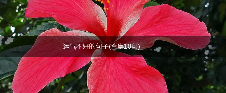 运气不好的句子(合集10句),第1张