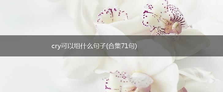 cry可以组什么句子(合集71句),第1张