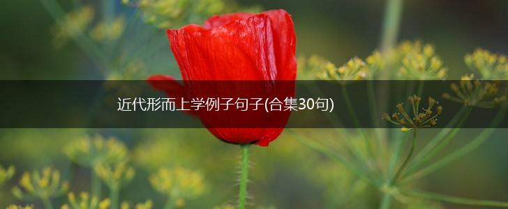 近代形而上学例子句子(合集30句),第1张