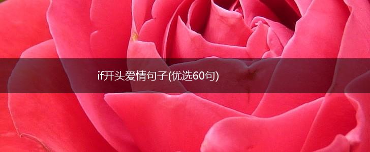 if开头爱情句子(优选60句),第1张