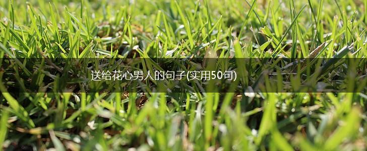 送给花心男人的句子(实用50句),第1张