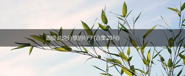 面膜说说分享的句子(合集20句),第1张