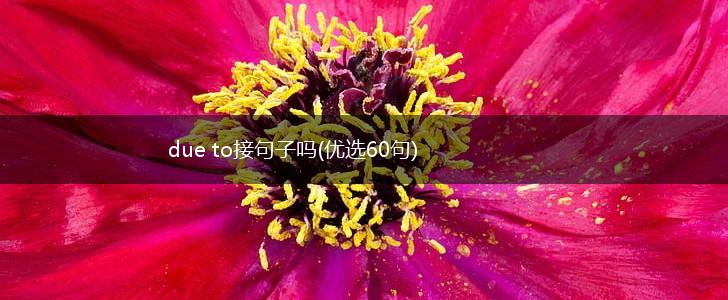 due to接句子吗(优选60句),第1张