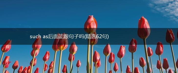 such as后面能跟句子吗(精选62句),第1张