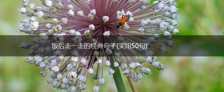饭后走一走的经典句子(实用50句),第1张