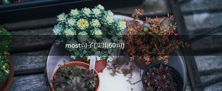 most句子(实用60句),第1张