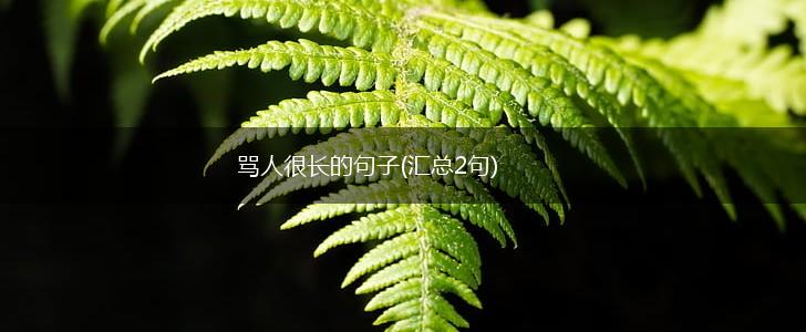 骂人很长的句子(汇总2句),第1张
