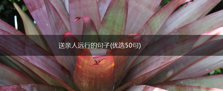 送亲人远行的句子(优选50句),第1张