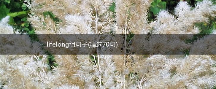 lifelong组句子(精选70句),第1张