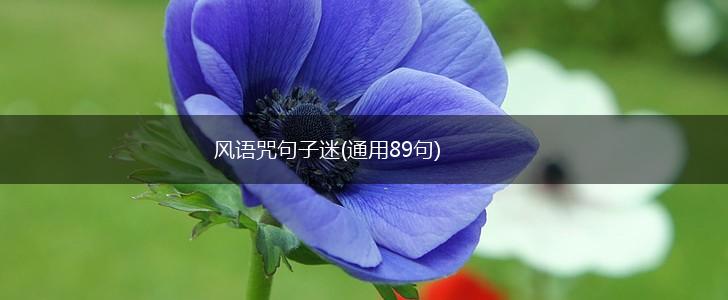 风语咒句子迷(通用89句),第1张