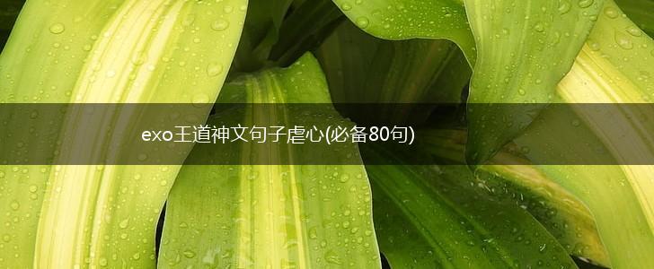 exo王道神文句子虐心(必备80句),第1张
