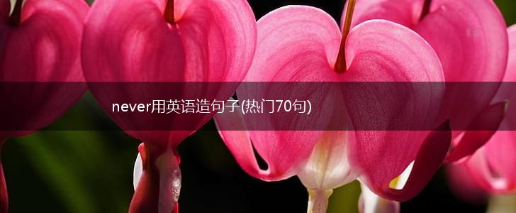 never用英语造句子(热门70句),第1张