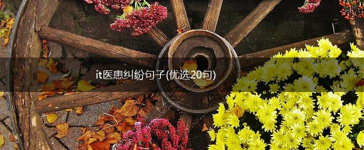 it医患纠纷句子(优选20句),第1张