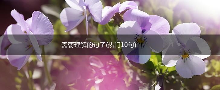需要理解的句子(热门10句),第1张
