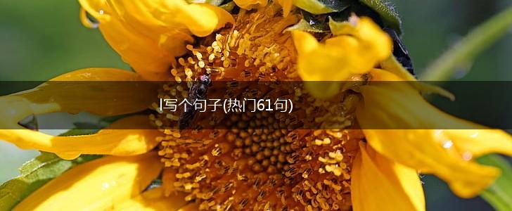 l写个句子(热门61句),第1张