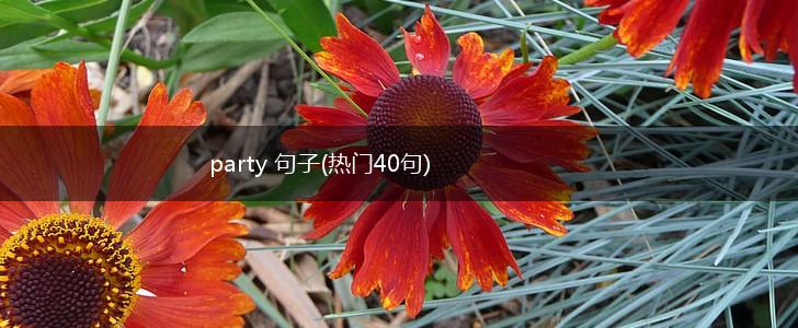 party 句子(热门40句),第1张