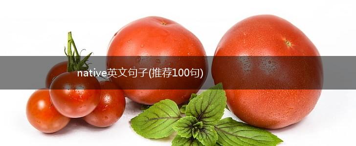 native英文句子(推荐100句),第1张