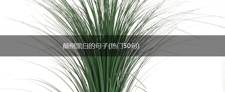 颠倒黑白的句子(热门50句),第1张