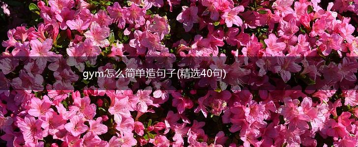 gym怎么简单造句子(精选40句),第1张