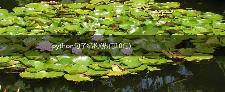 python句子结构(热门10句),第1张