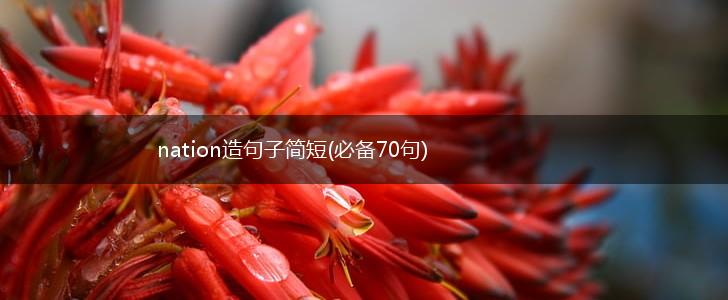 nation造句子简短(必备70句),第1张