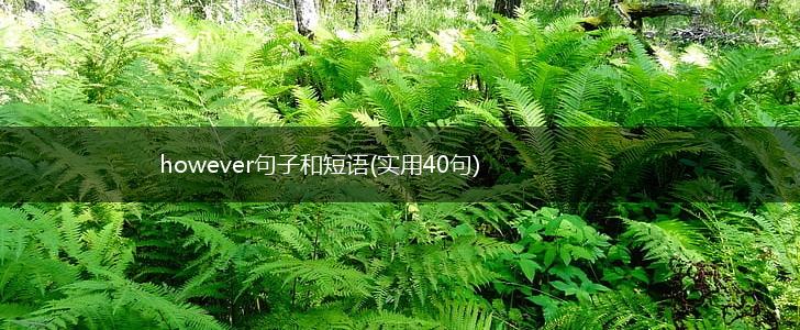 however句子和短语(实用40句),第1张