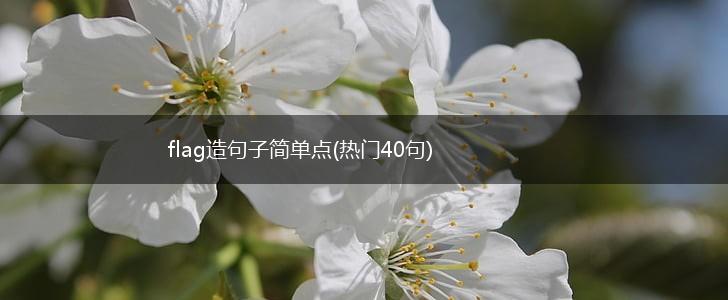 flag造句子简单点(热门40句),第1张