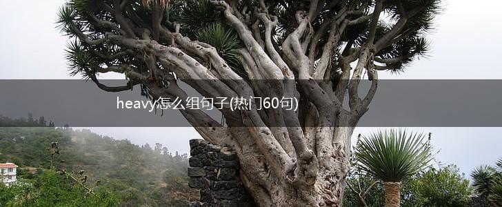 heavy怎么组句子(热门60句),第1张