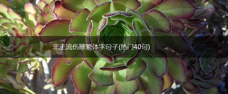 非主流伤感繁体字句子(热门40句),第1张