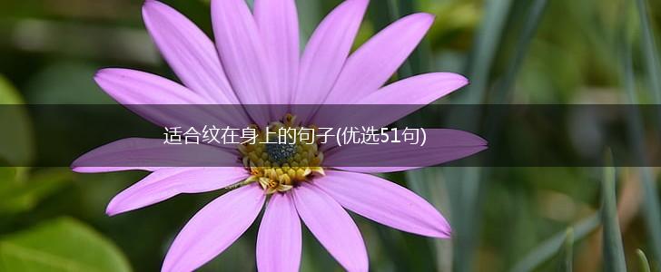 适合纹在身上的句子(优选51句),第1张
