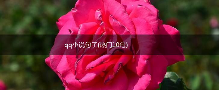 qq小说句子(热门10句),第1张