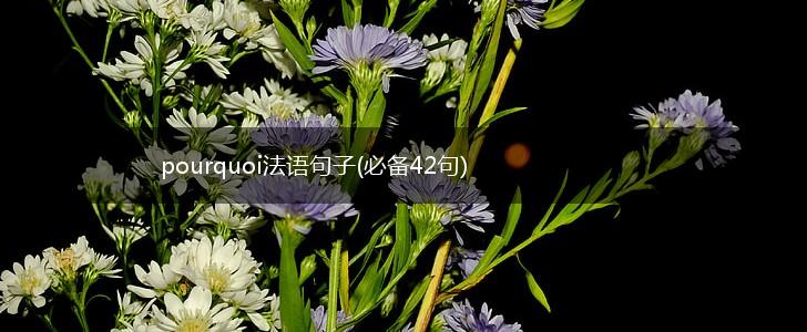 pourquoi法语句子(必备42句),第1张