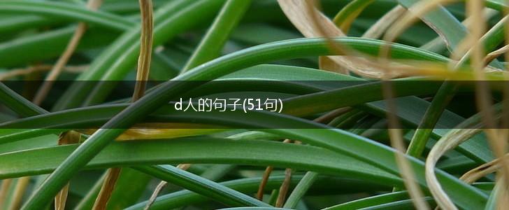 d人的句子(51句),第1张