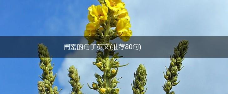 闺蜜的句子英文(推荐80句),第1张