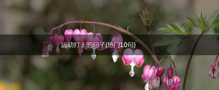 运动打卡的句子(热门10句),第1张
