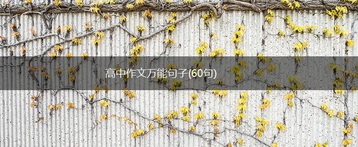 高中作文万能句子(60句),第1张