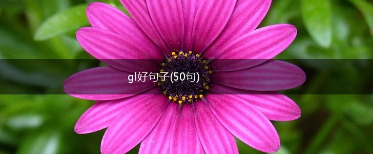 gl好句子(50句),第1张