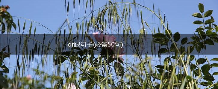 or跟句子(必备50句),第1张