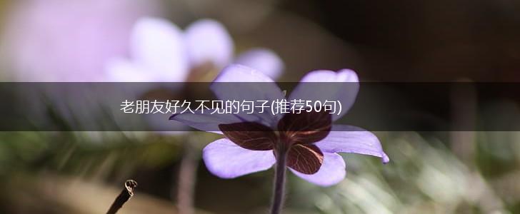 老朋友好久不见的句子(推荐50句),第1张