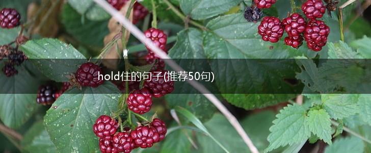 hold住的句子(推荐50句),第1张