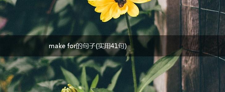 make for的句子(实用41句),第1张