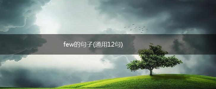 few的句子(通用12句),第1张