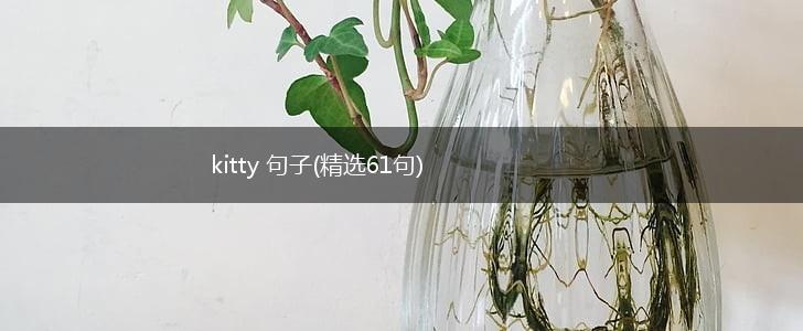 kitty 句子(精选61句),第1张