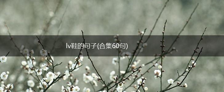 lv鞋的句子(合集60句),第1张