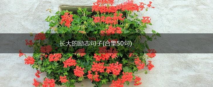 长大的励志句子(合集50句),第1张
