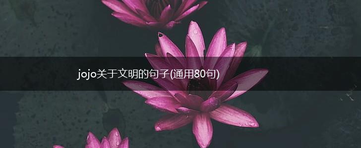 jojo关于文明的句子(通用80句),第1张