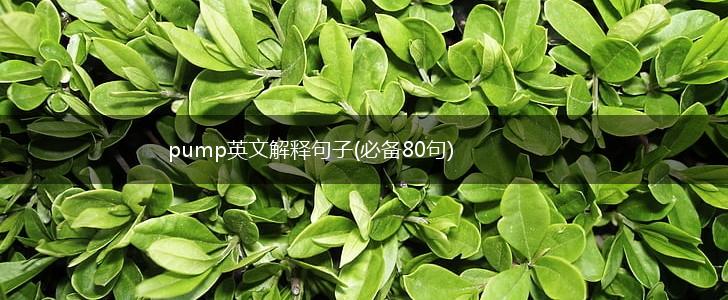 pump英文解释句子(必备80句),第1张