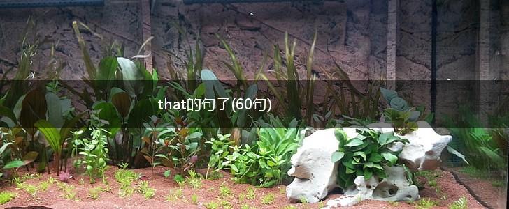 that的句子(60句),第1张
