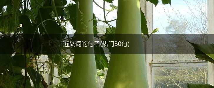 近义词的句子(热门30句),第1张