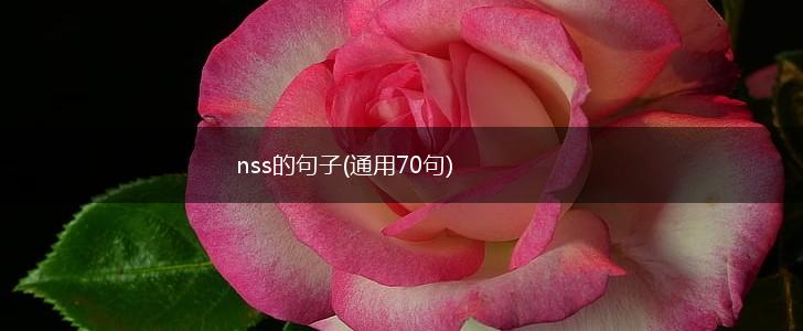 nss的句子(通用70句),第1张
